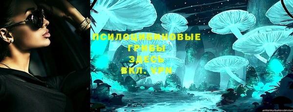 ешки Абинск