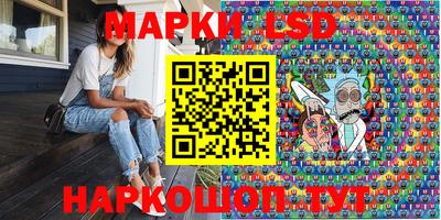 стаф Бердск