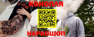 стаф Бердск