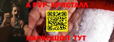 стаф Бердск