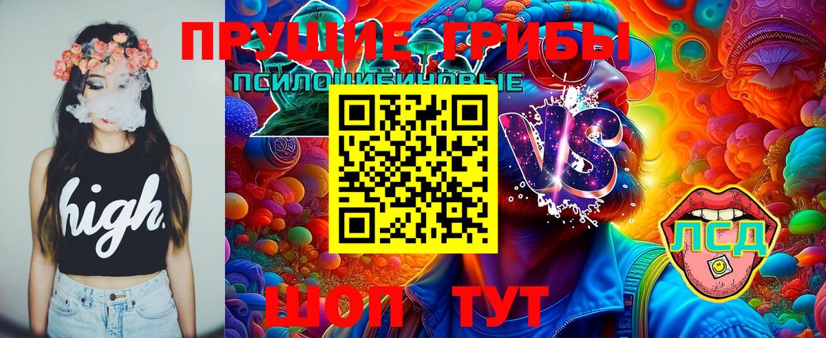 Псилоцибиновые грибы мухоморы  Вход с VPN  Псилоцибиновые грибы Cubensis  Тутаев 